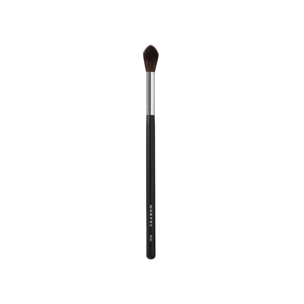 Large Pointed Blender Brush